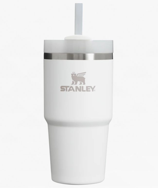 Stanley The Quencher H2.0 FlowState Frost Tumbler 20 oz - Stanley