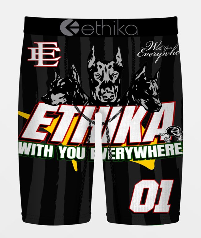 Ethika The Kit MicroMesh Boxer Briefs - Ethika